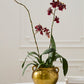 Bubbling Cauldron By Accent Decor | Planters, Troughs & Cachepots | Modishstore - 3