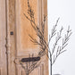 Buckthorne Tree Set of 2 By Accent Decor | Decor | Modishstore - 3