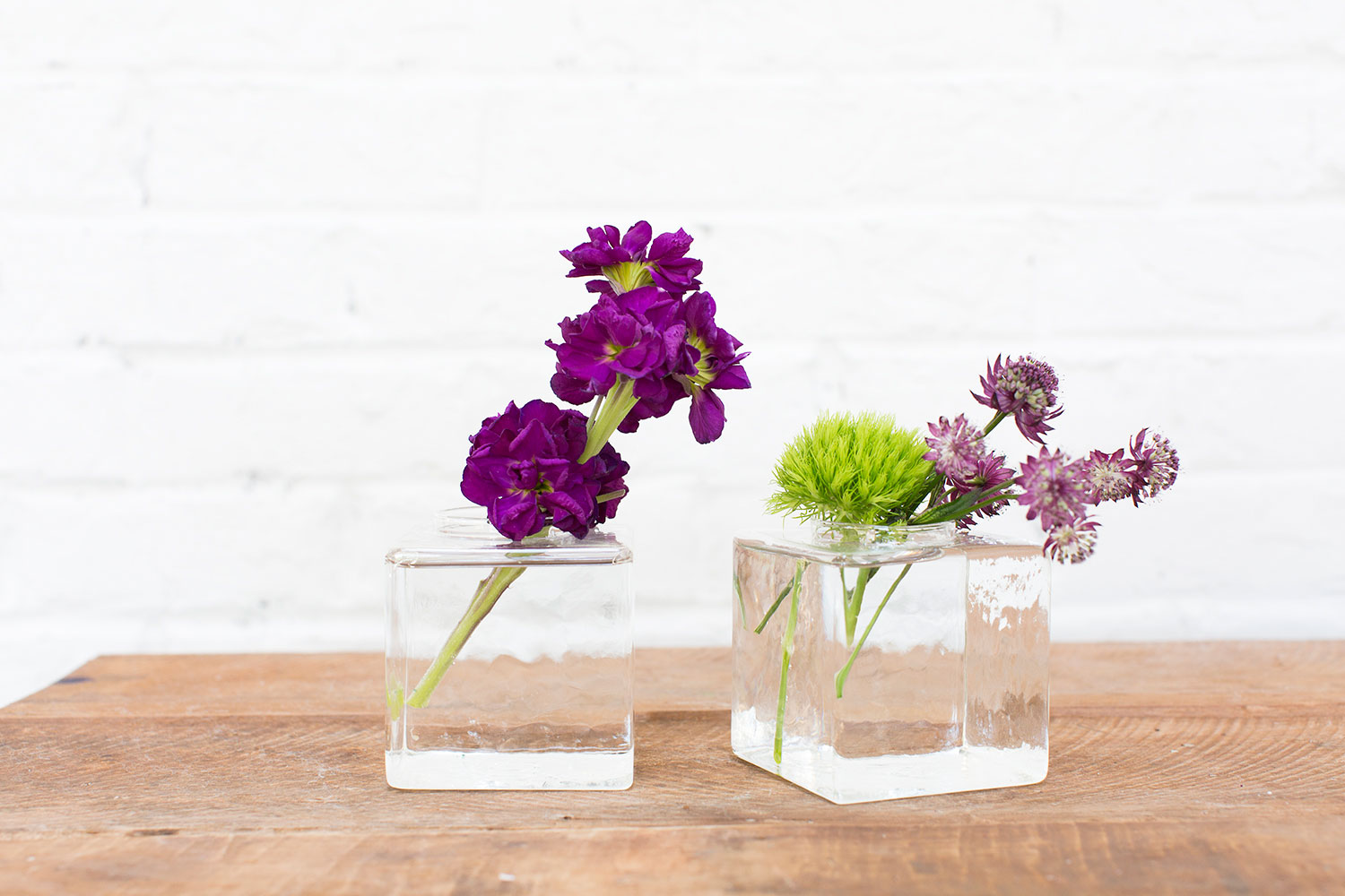 Cadence Compote Set of 4 By Accent Decor | Planters, Troughs & Cachepots | Modishstore - 5