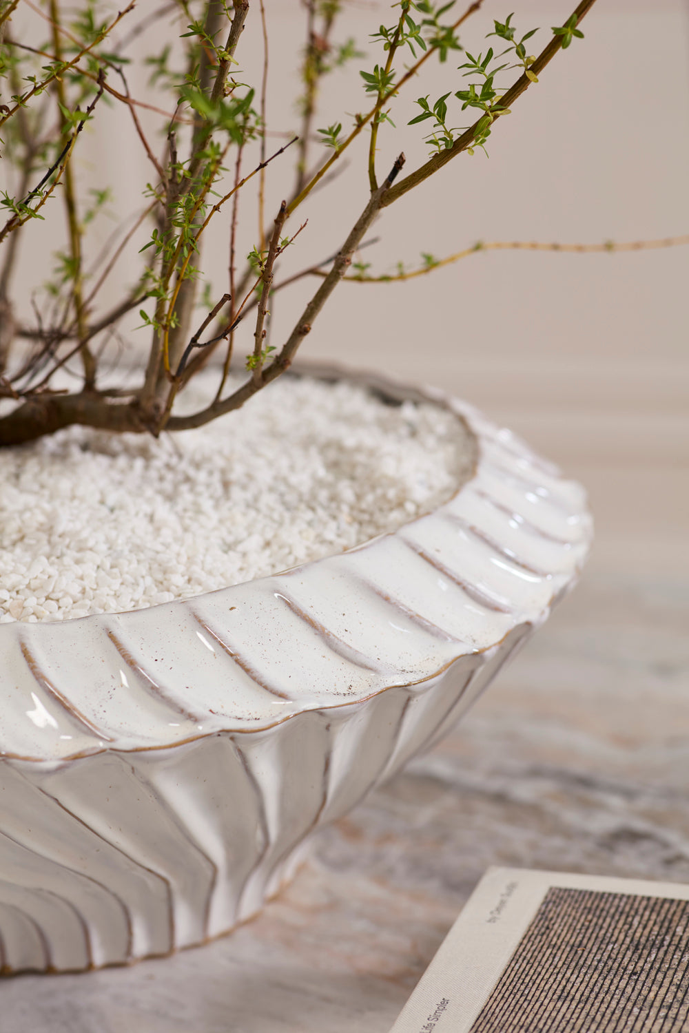 Caliza Bowl By Accent Decor | Decorative Bowls | Modishstore - 1