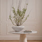 Caliza Bowl By Accent Decor | Decorative Bowls | Modishstore - 3