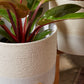 Calvia Pot with Stand Set of 2 By Accent Decor | Planters, Troughs & Cachepots | Modishstore - 1