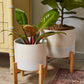 Calvia Pot with Stand Set of 2 By Accent Decor | Planters, Troughs & Cachepots | Modishstore - 3