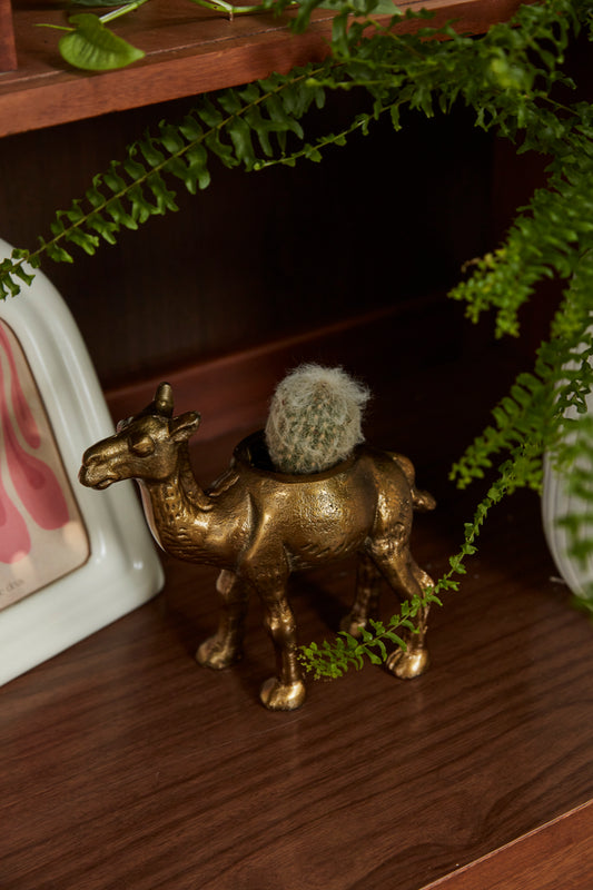 Camel Planter Set of 2 By Accent Decor | Planters, Troughs & Cachepots | Modishstore - 1