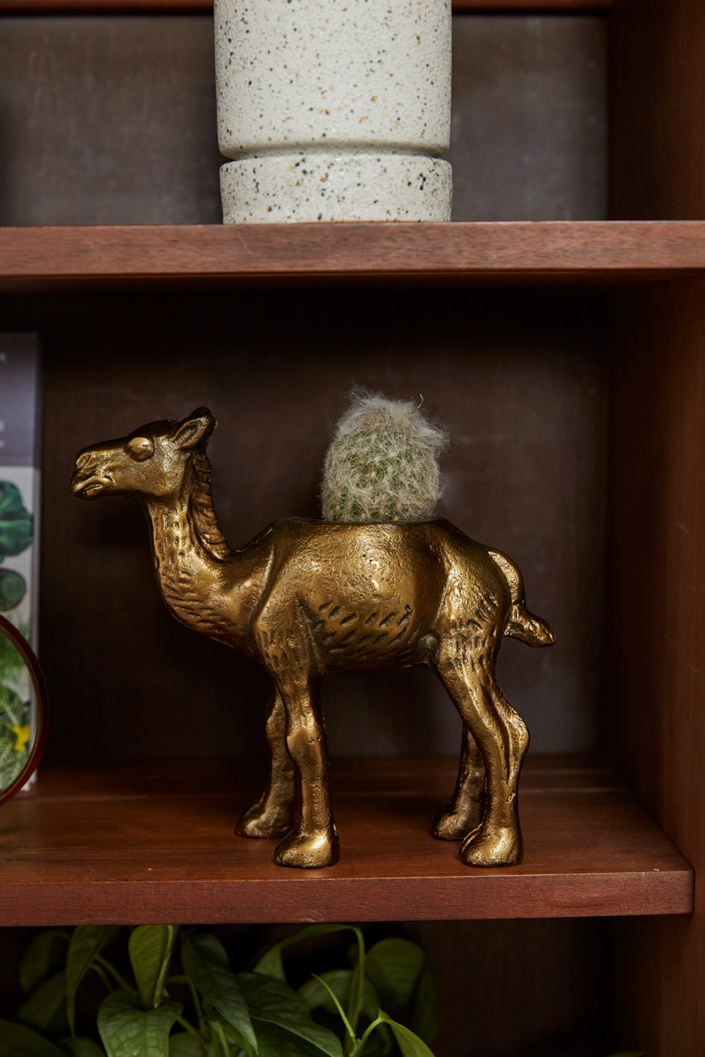 Camel Planter Set of 2 By Accent Decor | Planters, Troughs & Cachepots | Modishstore - 3