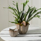 Capira Pot Set of 2 By Accent Decor | Planters, Troughs & Cachepots | Modishstore - 3