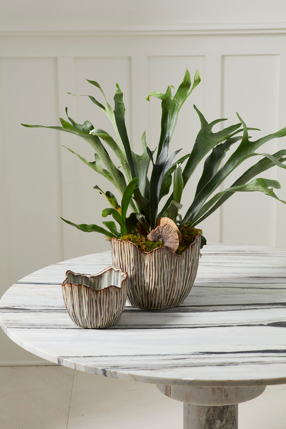 Capira Pot Set of 2 By Accent Decor | Planters, Troughs & Cachepots | Modishstore - 3