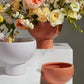 Capricorn Compote Set of 4 By Accent Decor | Planters, Troughs & Cachepots | Modishstore - 1