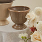 Cara Compote Set of 4 By Accent Decor | Planters, Troughs & Cachepots | Modishstore - 1