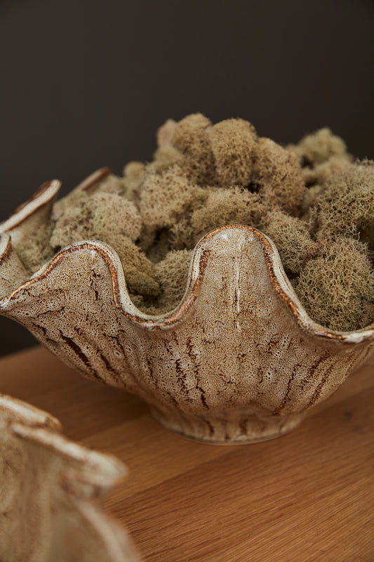 Caraway Bowl Set of 2 By Accent Decor | Decorative Bowls | Modishstore - 1