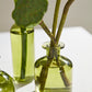 Carlotta Budvase - Set of 12 By Accent Decor | Vases | Modishstore - 1