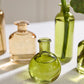 Carlotta Budvase - Set of 12 By Accent Decor | Vases | Modishstore - 5