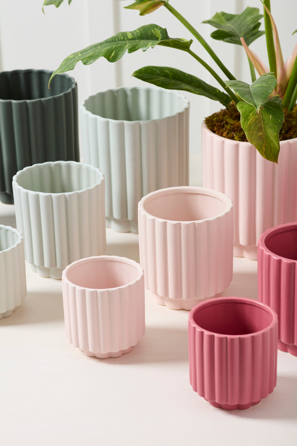 Carmen Pot Set of 8 By Accent Decor | Stands | Modishstore - 4