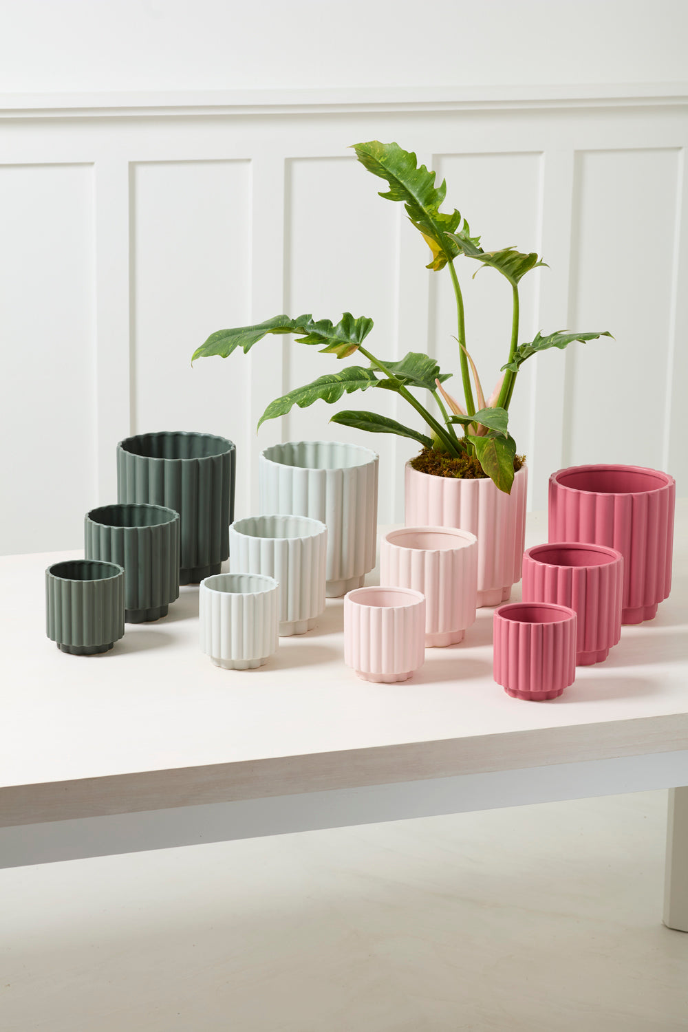 Carmen Pot Set of 8 By Accent Decor | Stands | Modishstore - 3