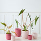 Carmen Pot Set of 8 By Accent Decor | Stands | Modishstore - 5