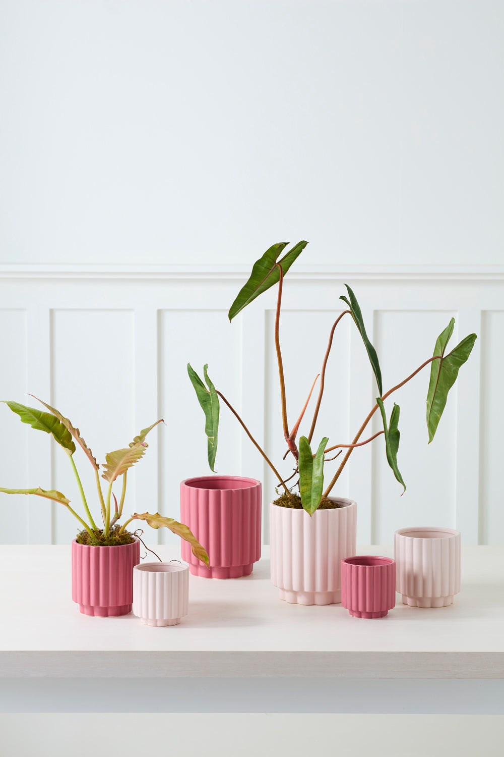 Carmen Pot Set of 8 By Accent Decor | Stands | Modishstore - 5