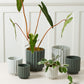 Carmen Pot Set of 8 By Accent Decor | Stands | Modishstore - 6