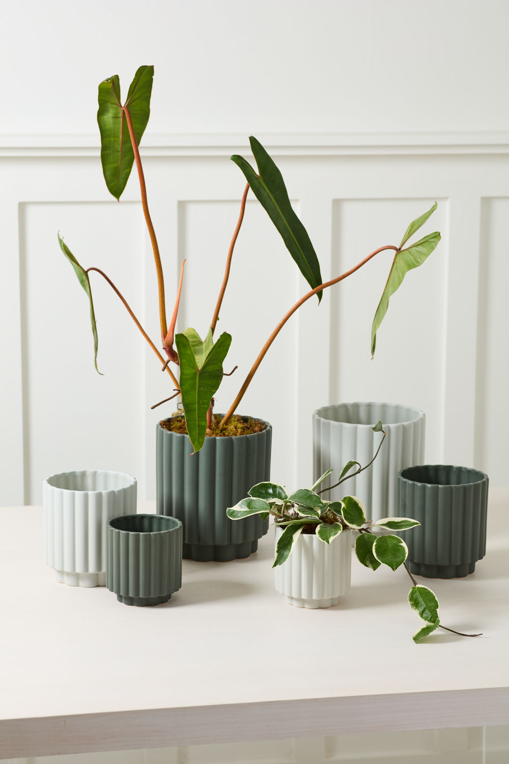 Carmen Pot Set of 8 By Accent Decor | Stands | Modishstore - 6