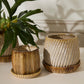 Carved Pot with Saucer Set of 2 By Accent Decor | Planters, Troughs & Cachepots | Modishstore - 3