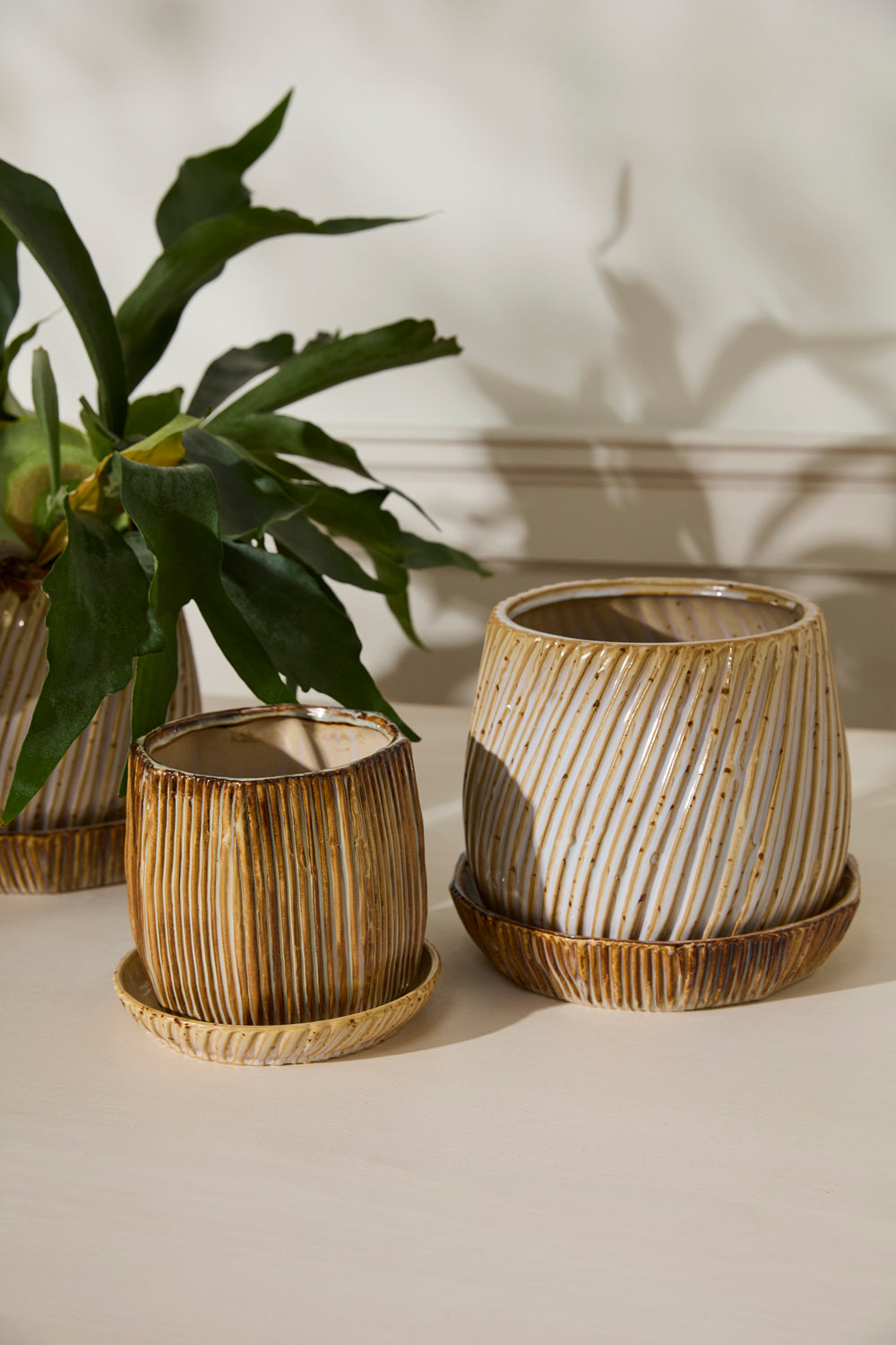 Carved Pot with Saucer Set of 2 By Accent Decor | Planters, Troughs & Cachepots | Modishstore - 3
