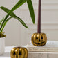 Carved Pumpkin Candleholder Set of 2 By Accent Decor | Candle Holders | Modishstore - 3