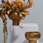 Cassio Compote Set of 4 By Accent Decor | Planters, Troughs & Cachepots | Modishstore - 1