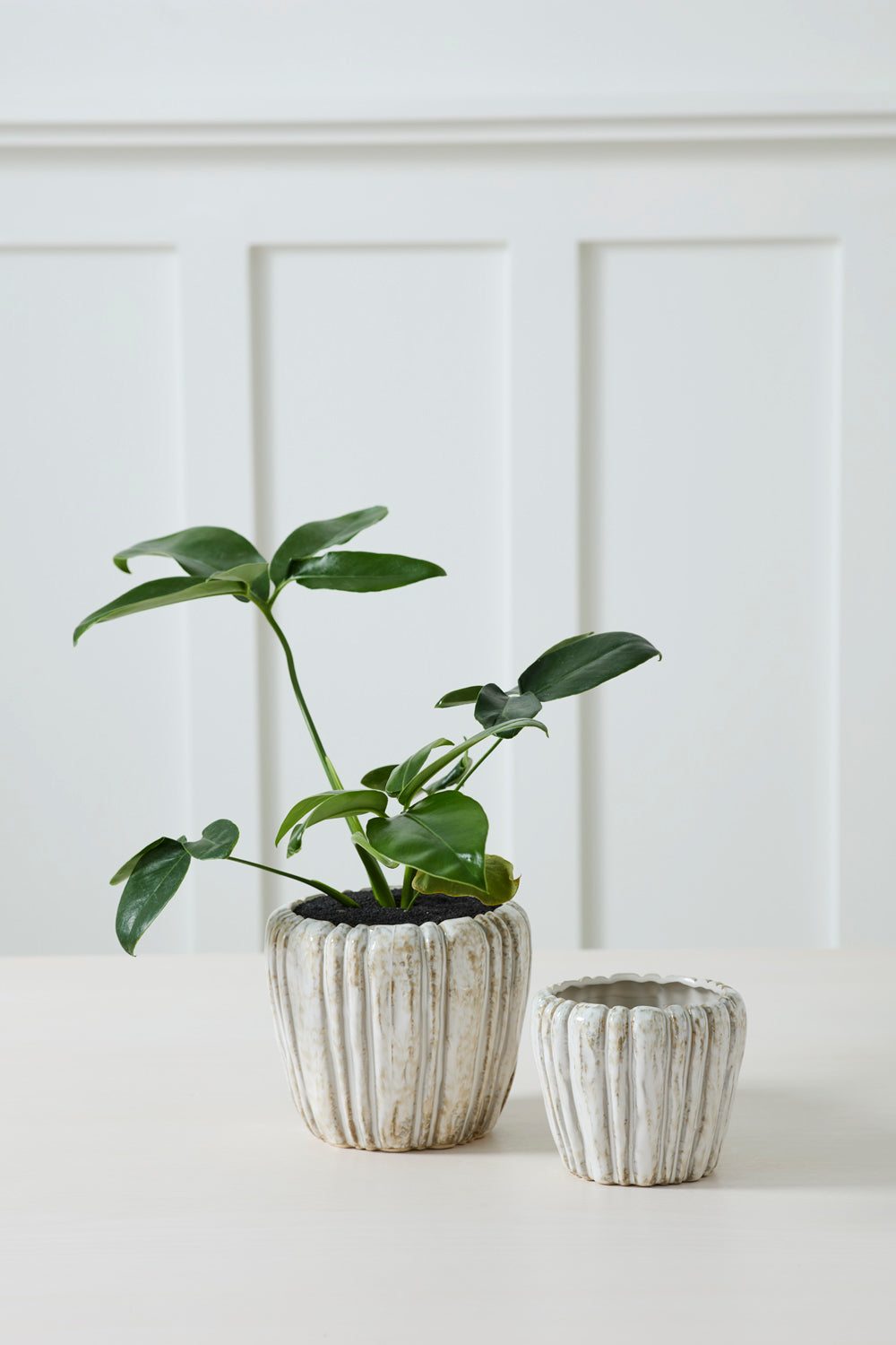 Cedric Pot Set of 8 By Accent Decor | Wall Decor | Modishstore - 3