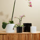 Cercle Pot Set of 8 By Accent Decor | Planters, Troughs & Cachepots | Modishstore - 1