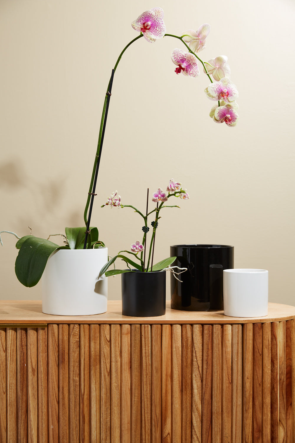 Cercle Pot Set of 8 By Accent Decor | Planters, Troughs & Cachepots | Modishstore - 1