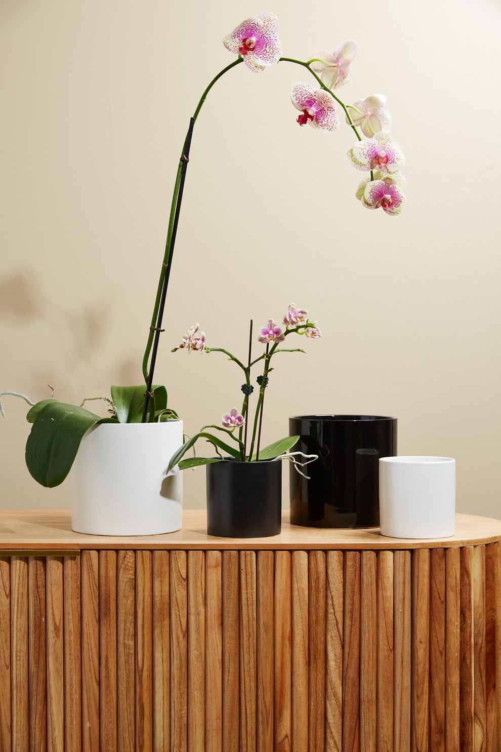 Cercle Pot Set of 8 By Accent Decor | Planters, Troughs & Cachepots | Modishstore - 1
