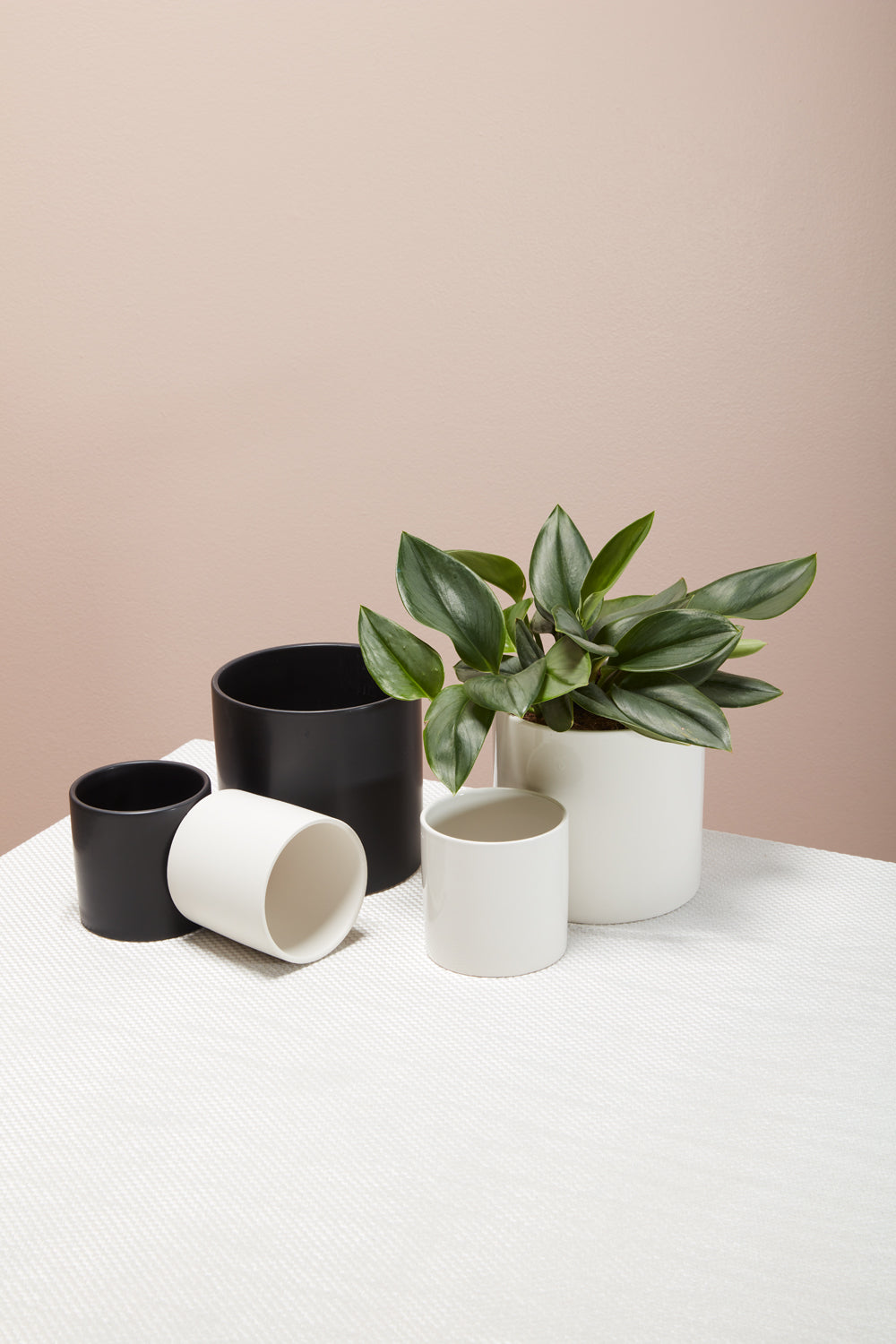 Cercle Pot Set of 8 By Accent Decor | Planters, Troughs & Cachepots | Modishstore - 3
