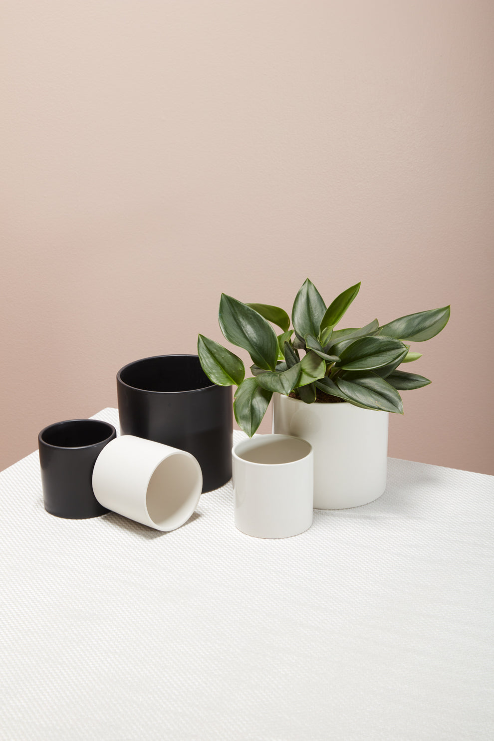 Cercle Pot Set of 8 By Accent Decor | Planters, Troughs & Cachepots | Modishstore - 3