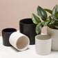 Cercle Pot Set of 8 By Accent Decor | Planters, Troughs & Cachepots | Modishstore - 4