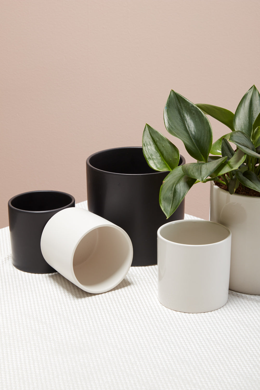 Cercle Pot Set of 8 By Accent Decor | Planters, Troughs & Cachepots | Modishstore - 4