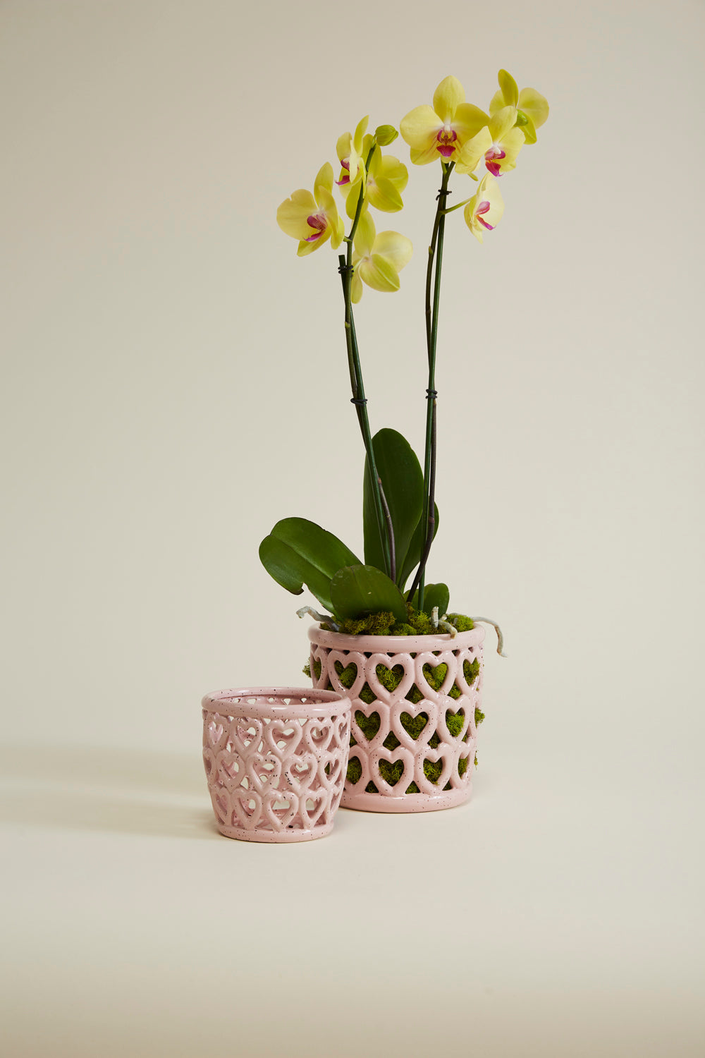 Cherished Hearts Orchid Pot Set of 4 By Accent Decor | Planters, Troughs & Cachepots | Modishstore - 1