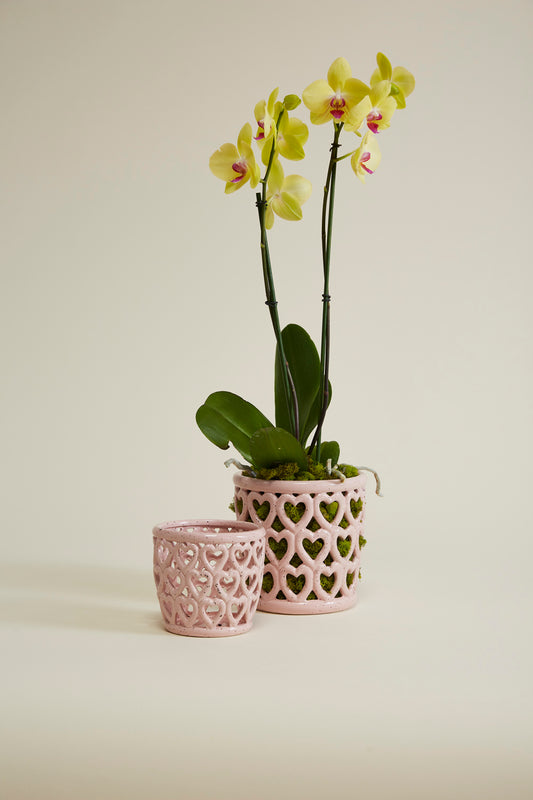 Cherished Hearts Orchid Pot Set of 4 By Accent Decor | Planters, Troughs & Cachepots | Modishstore - 1