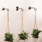 Chet Wall Hanger Set of 8 By Accent Decor | Coat Racks | Modishstore - 2