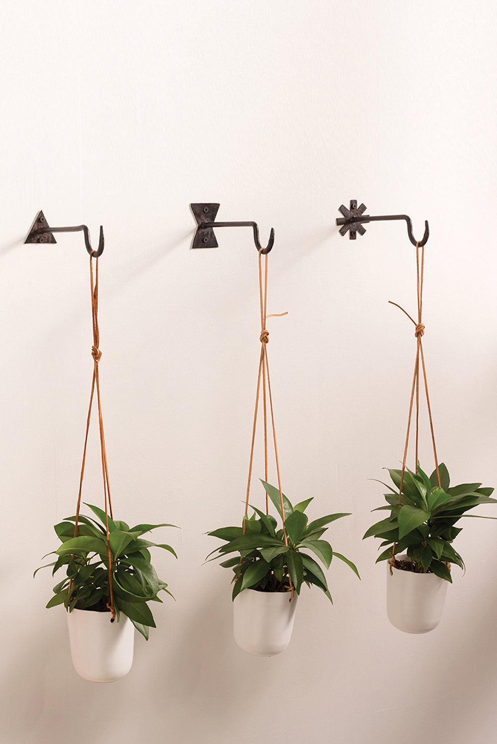 Chet Wall Hanger Set of 8 By Accent Decor | Coat Racks | Modishstore - 2