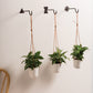 Chet Wall Hanger Set of 8 By Accent Decor | Coat Racks | Modishstore - 4