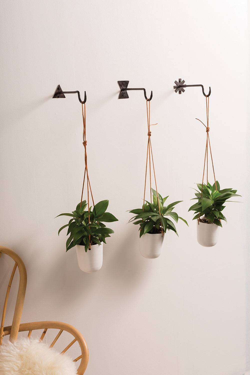 Chet Wall Hanger Set of 8 By Accent Decor | Coat Racks | Modishstore - 4