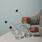 Chim Budvase Set of 8 By Accent DŽcor