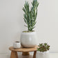 Choice Pot Set of 8 By Accent Decor | Planters, Troughs & Cachepots | Modishstore - 3