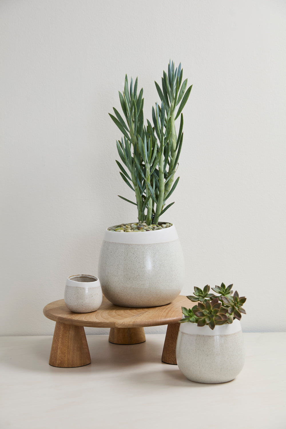 Choice Pot Set of 8 By Accent Decor | Planters, Troughs & Cachepots | Modishstore - 3