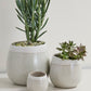 Choice Pot Set of 8 By Accent Decor | Planters, Troughs & Cachepots | Modishstore - 6