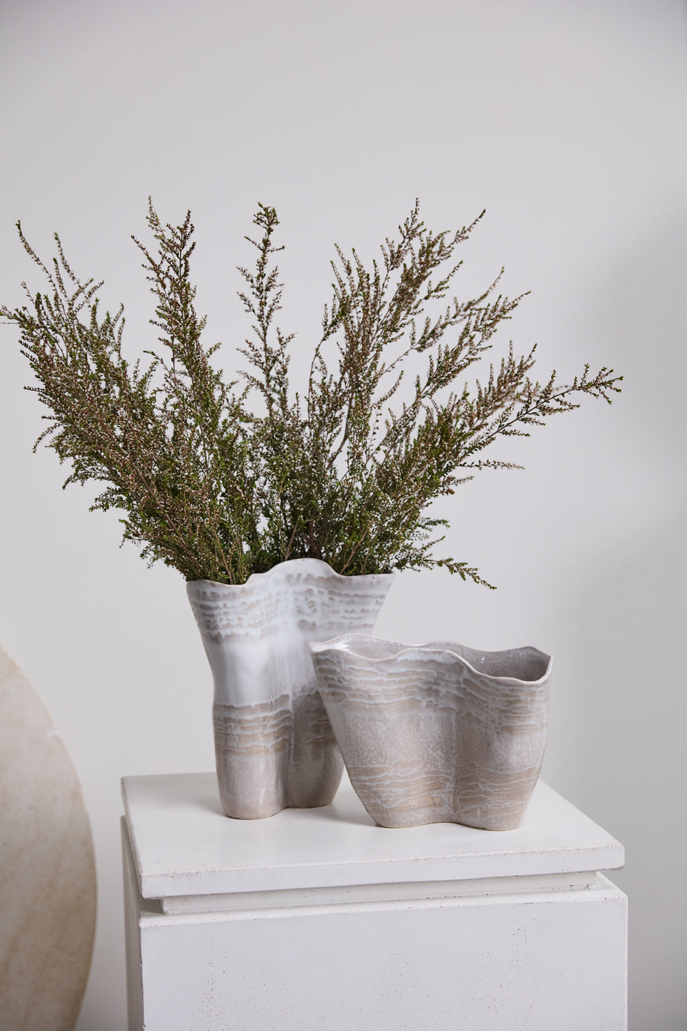 Claribel Vase Set of 2 By Accent Decor | Vases | Modishstore - 3