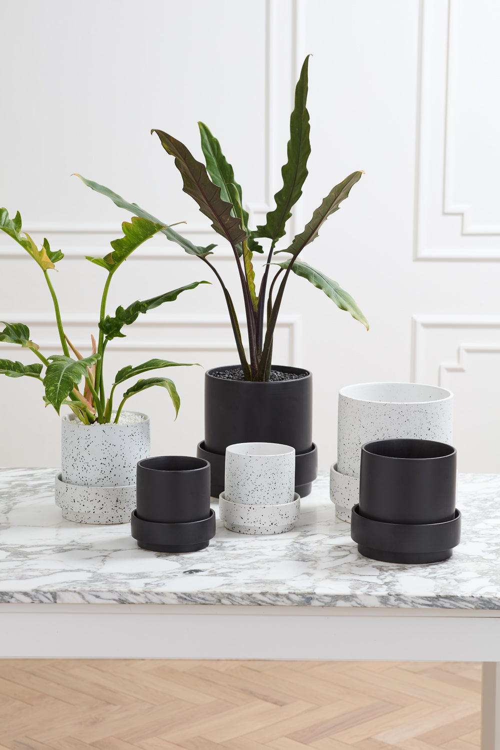 Claxton Pot with Saucer By Accent Decor | Stands | Modishstore - 3