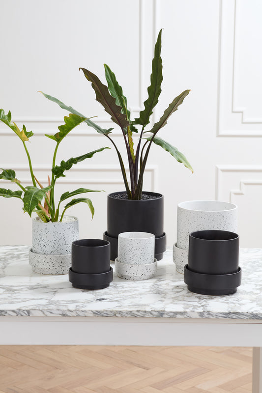Claxton Pot with Saucer By Accent Decor | Stands | Modishstore - 3