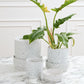 Claxton Pot with Saucer By Accent Decor | Stands | Modishstore - 5