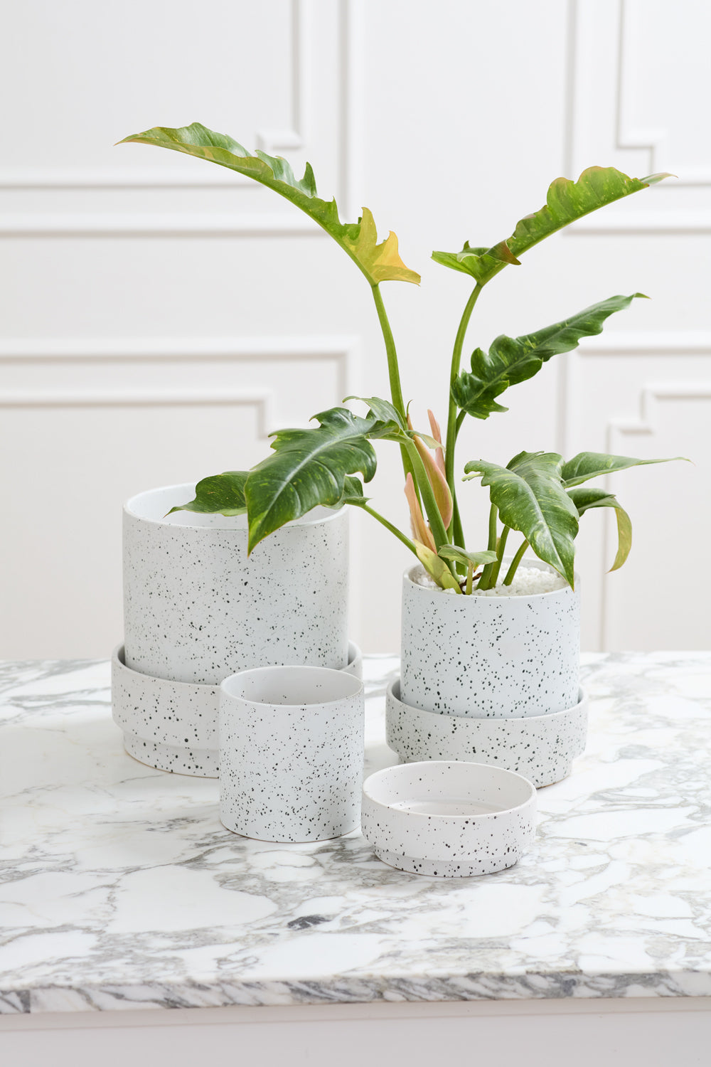 Claxton Pot with Saucer By Accent Decor | Stands | Modishstore - 5