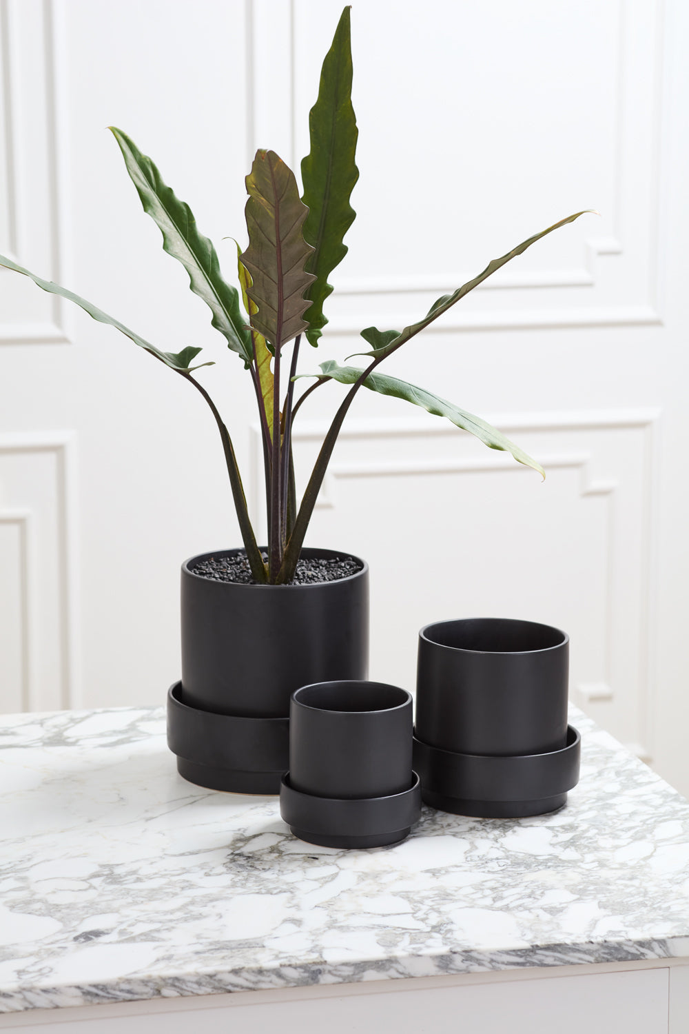 Claxton Pot with Saucer By Accent Decor | Stands | Modishstore - 6